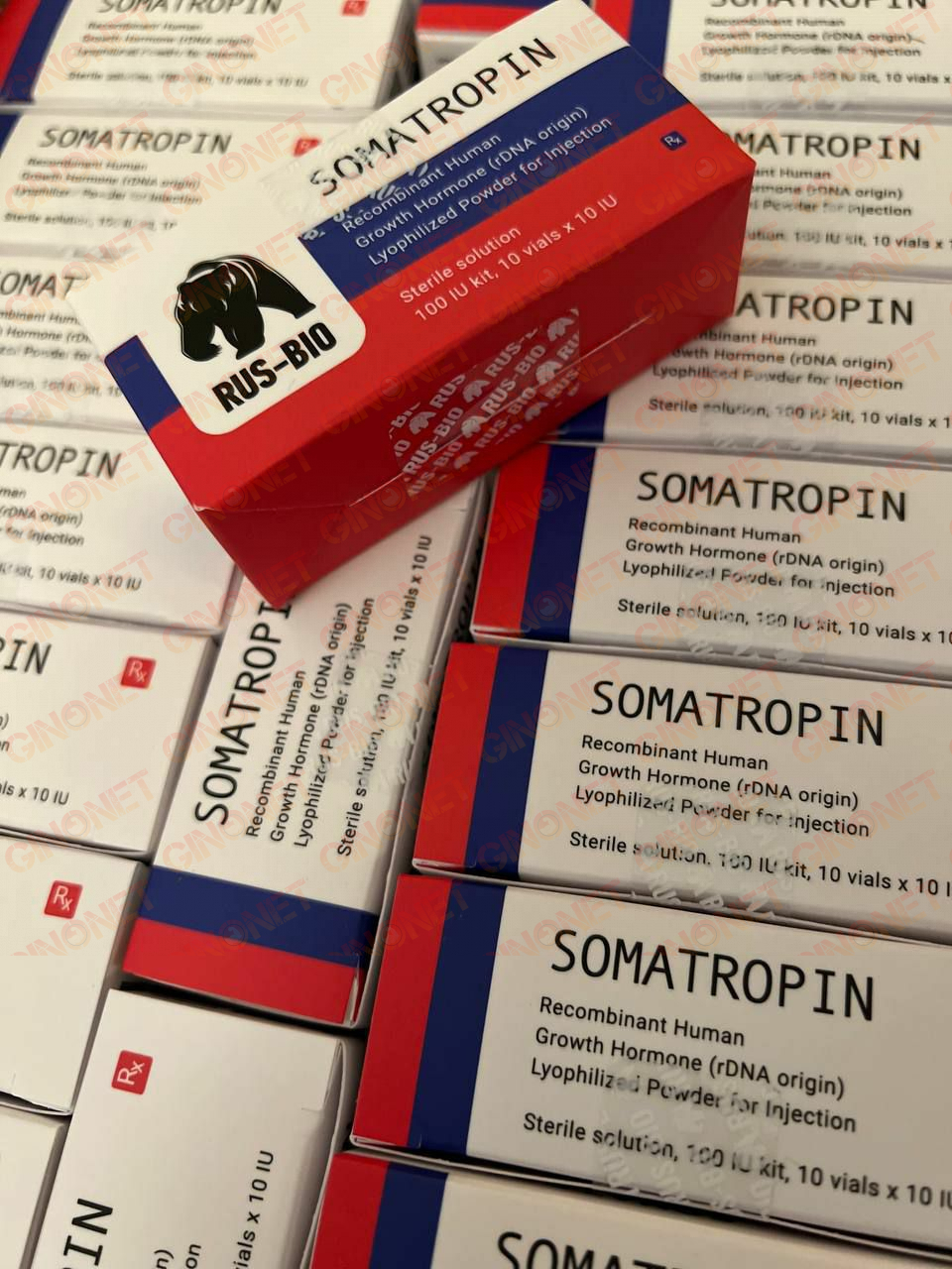 Somatropin (Гормон Роста) от RusBio (10ЕД на флакон) Somatropin (Гормон Роста) от RusBio (10ЕД на флакон)